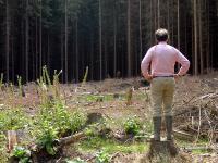 Waldbesitzer.jpg 