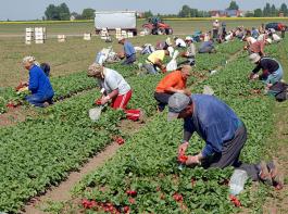 Bis zu sechs Monate je Kalenderjahr k�nnen Arbeitskr�fte aus Rum�nien und Bulgarien k�nftig ohne Genehmigung arbeiten.