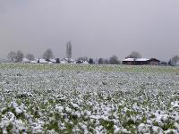 Erster_Schnee.jpg 