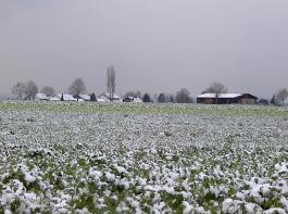 Ziemlich milde Tage stehen an.&copy; bobby metzger/pixelio.de