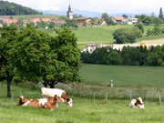 ft_Landleben_desaxo.jpg