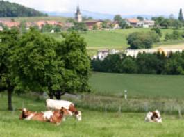 &copy; desaxo/fotolia 