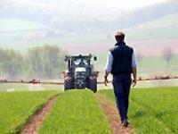 LandwirteFeld.jpg 