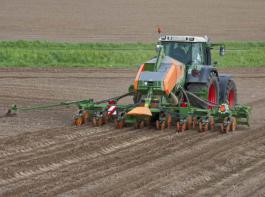 EDX-Einzelkorns�maschine aus der EDX-Baureihe&copy; Amazone