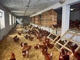 &copy; Bayerisches Staatsministerium f�r Umwelt, Gesundheit und Verbraucherschutz 