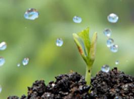 &copy; Ronnie/Fotolia