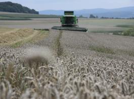 Deutlich schw�chere Getreideernte