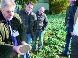 Bei der Spatenprobe: Prof. Ludwig Volk (vorn), Lars K�chling und Bj�rn Becker (hinten) 