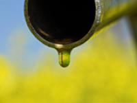 af_biodiesel5.jpg Raps�l, Biodiesel, Raps