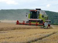 Drescher_Claas_Ernte_Gerste.jpg Ernte, Drescher, Claas, Gerste