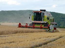 Entt�uschend bis bescheiden fiel die Getreideernte 2011 in Deutschland aus.&copy; M�hlhausen/landpixel.de