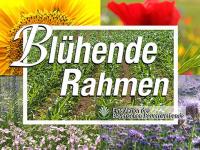 Bl�hstreifen_Schild.jpg 