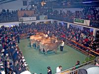 Schauhalle_2_JB.jpg 