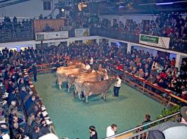 Die Schorenhalle Dornbirn ist am Samstag, 12.11.2011 wieder Austragungsort des Championates. � Berchtold 