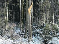 Sturmbilanz_Foto.jpg 