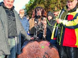 Die Waldbraut ist eine Eiche und wurde von Hella Martin aufgelegt. &copy; Foto: Bertram