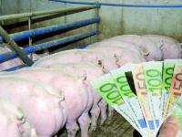 _Schweine_Geld_ap.JPG 