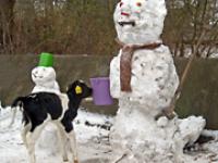 kalb schneemann.jpg 