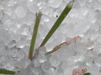 Hagelschaden.jpg Hagel