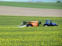  raps, pflanzenschutz, bl�tenbehandlung