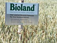  Bioland, Feld, Acker, Getreide