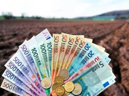 Der spanische Bauernverband f�rchtet Ernteverluste in Millionenh�he. Deswegen soll ein Teil der Agrarf�rdergelder fr�her ausgezahlt werden.&copy; landpixel