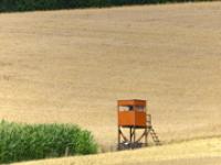 ft_Hochsitz_focus-finder.jpg Hochsitz