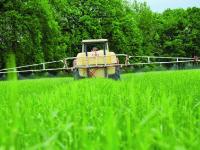 _P_Fusarium_Spritze 