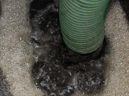 Verwertung in Biogasanlagen �ndert nichts am rechtlichen Status als D�nger&copy; M�hlhausen/landpixel