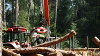 Holz als Energielieferant spart gro�e Mengen an Kohlendioxid-Emissionen ein.
