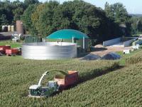 Biogasmais_lpix52120.jpg 