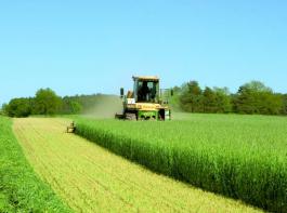 Krone Big M im Einsatz&copy; Krone