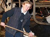  Frau, Stall, Kuh, K�he
