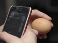 Smartphone_600.jpg 