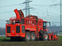 holmer t4.jpg 