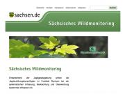 Teaser Bild