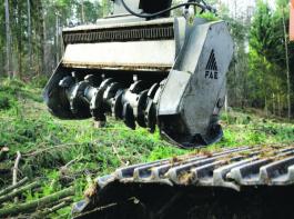 
Kulturvorbereitung mit schwerem Ger�t. Das an dem acht Meter langen Ausleger eines Baggers angebrachte Mulchaggregat verarbeitet selbst 15 cm dicke �ste und Zweige und macht sie bodengleich.&copy; Heinz Auf der Heide