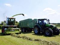 Gr�nlandsilagebereitung.jpg 