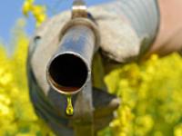 af_rapsoeltanken.jpg Raps, tanken, Biodiesel