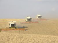 Claas.jpg 
