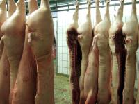 geschlachtete_Schweine.jpg 