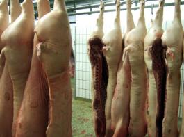 Die Anzahl der geschlachteten Schweine ist im Vergleich zum Vorjahresquartal gestiegen.&copy; M�hlhausen/landpixel.de