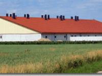  schweinestall, stall, halle