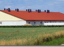 Familienmitglieder k�nnen Schweinest�lle an die eigene GbR vermieten und so die Vorsteuer vom Finanzamt kassieren. &copy; Archiv