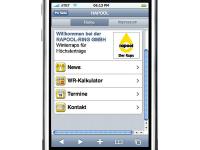 Handy2.jpg 