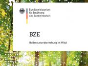Teaser Bild