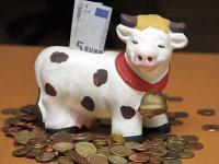 spar-kuh_mit_geld.jpg 
