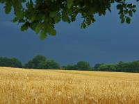 wetter.jpg 