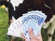  Rind, Geld