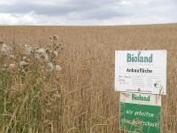 Bioland_Schild.jpg 